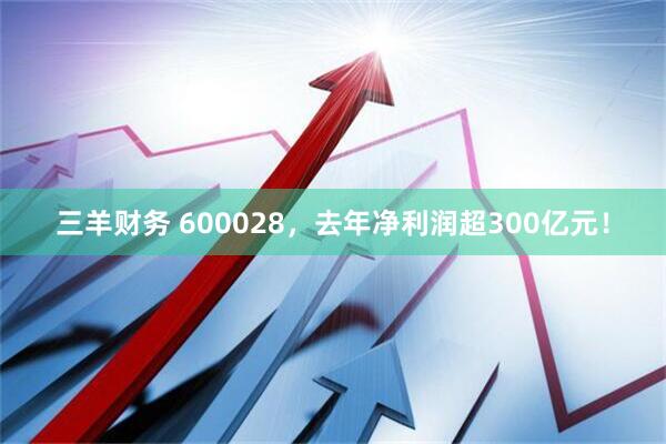 三羊财务 600028，去年净利润超300亿元！