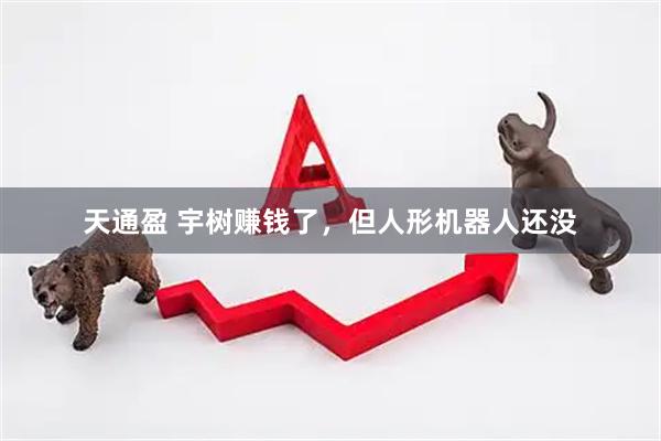 天通盈 宇树赚钱了，但人形机器人还没