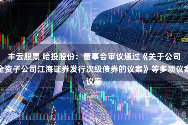 丰云股票 哈投股份：董事会审议通过《关于公司全资子公司江海证券发行次级债券的议案》等多项议案