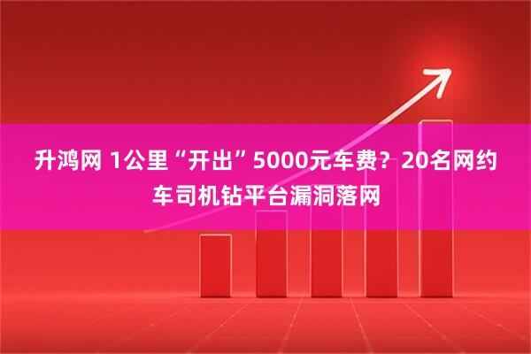 升鸿网 1公里“开出”5000元车费？20名网约车司机钻平台漏洞落网