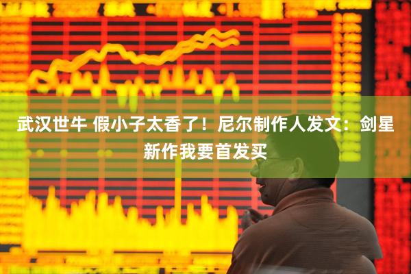 武汉世牛 假小子太香了！尼尔制作人发文：剑星新作我要首发买