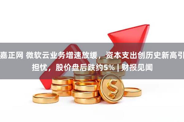 嘉正网 微软云业务增速放缓，资本支出创历史新高引担忧，股价盘后跌约5% | 财报见闻
