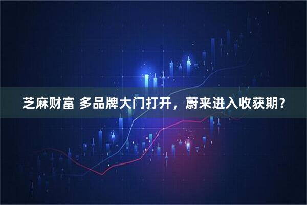 芝麻财富 多品牌大门打开，蔚来进入收获期？