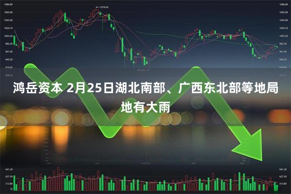 鸿岳资本 2月25日湖北南部、广西东北部等地局地有大雨