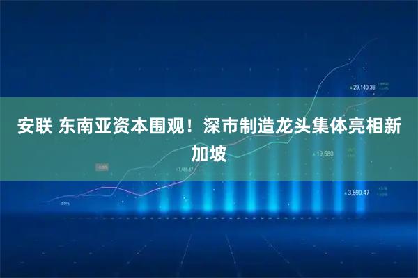 安联 东南亚资本围观！深市制造龙头集体亮相新加坡
