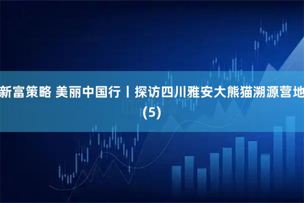 新富策略 美丽中国行丨探访四川雅安大熊猫溯源营地(5)