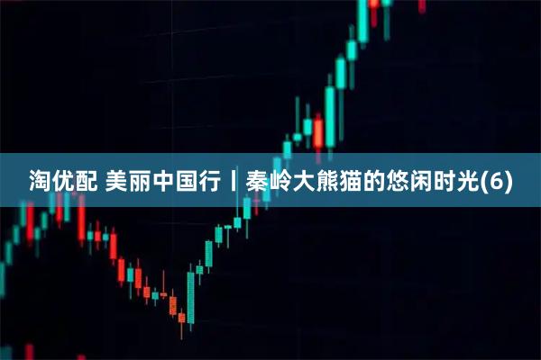 淘优配 美丽中国行丨秦岭大熊猫的悠闲时光(6)