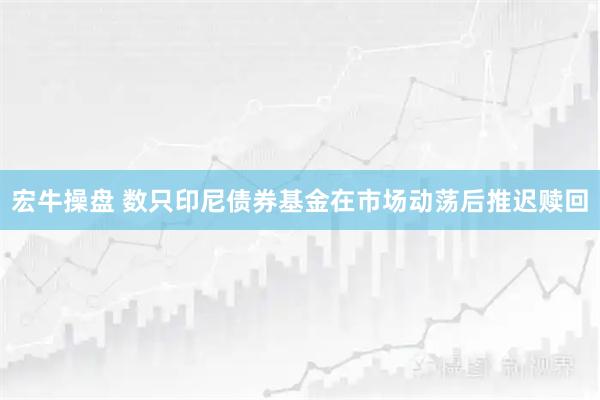 宏牛操盘 数只印尼债券基金在市场动荡后推迟赎回