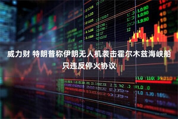 威力财 特朗普称伊朗无人机袭击霍尔木兹海峡船只违反停火协议