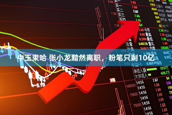 中玉束哈 张小龙黯然离职，粉笔只剩10亿