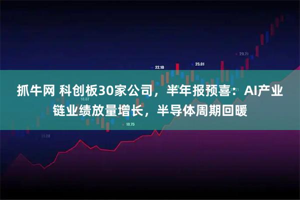 抓牛网 科创板30家公司，半年报预喜：AI产业链业绩放量增长，半导体周期回暖