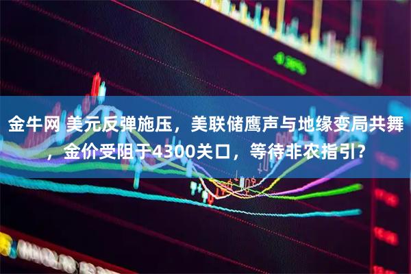 金牛网 美元反弹施压，美联储鹰声与地缘变局共舞，金价受阻于4300关口，等待非农指引？