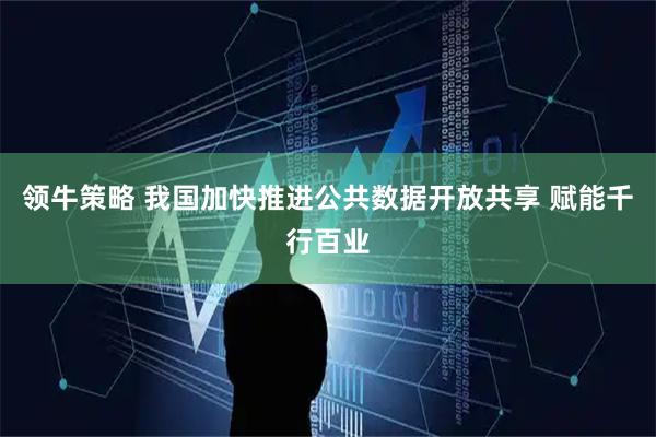 领牛策略 我国加快推进公共数据开放共享 赋能千行百业