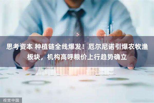 思考资本 种植链全线爆发！厄尔尼诺引爆农牧渔板块，机构高呼粮价上行趋势确立